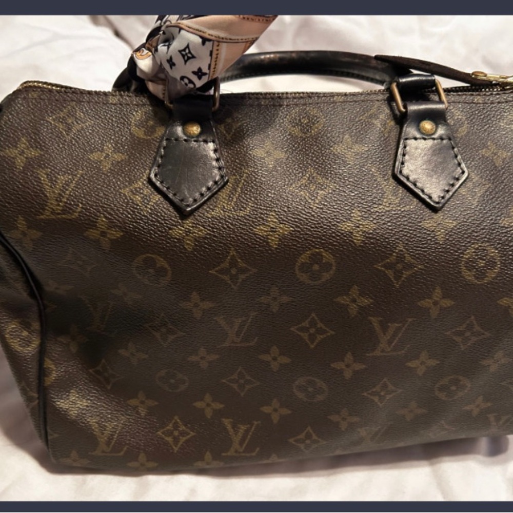 Louis Vuitton Speedy Monogram 30